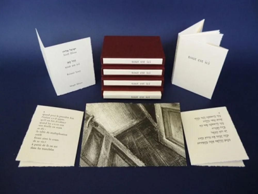 Libro Illustrato Levy - Tout est ici