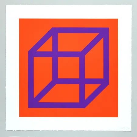 Non Tecnico Lewitt - Open Cube in Color on Color Plate 29