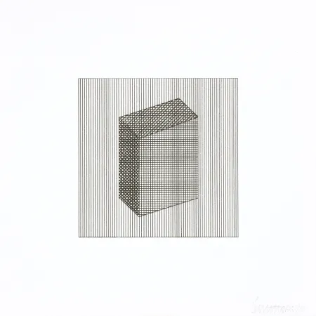 Serigrafia Lewitt - Twelve Forms Derived From a Cube 18