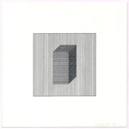Serigrafia Lewitt - Twelve Forms Derived from a Cube (Set of 48) (3)