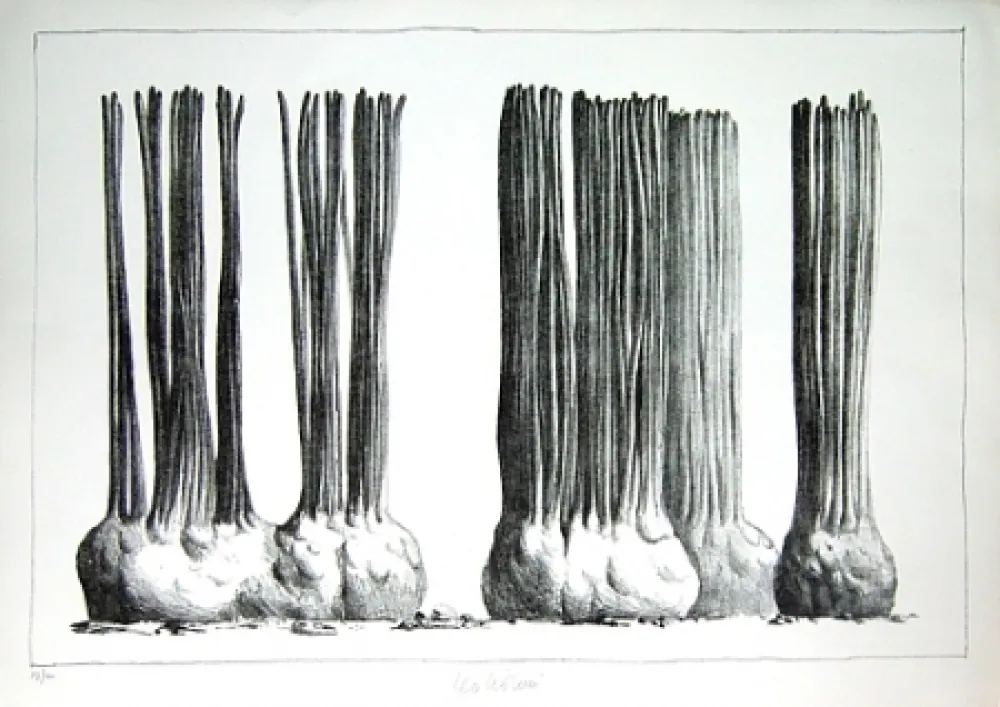 Litografia Lionni - Taluma trillosa