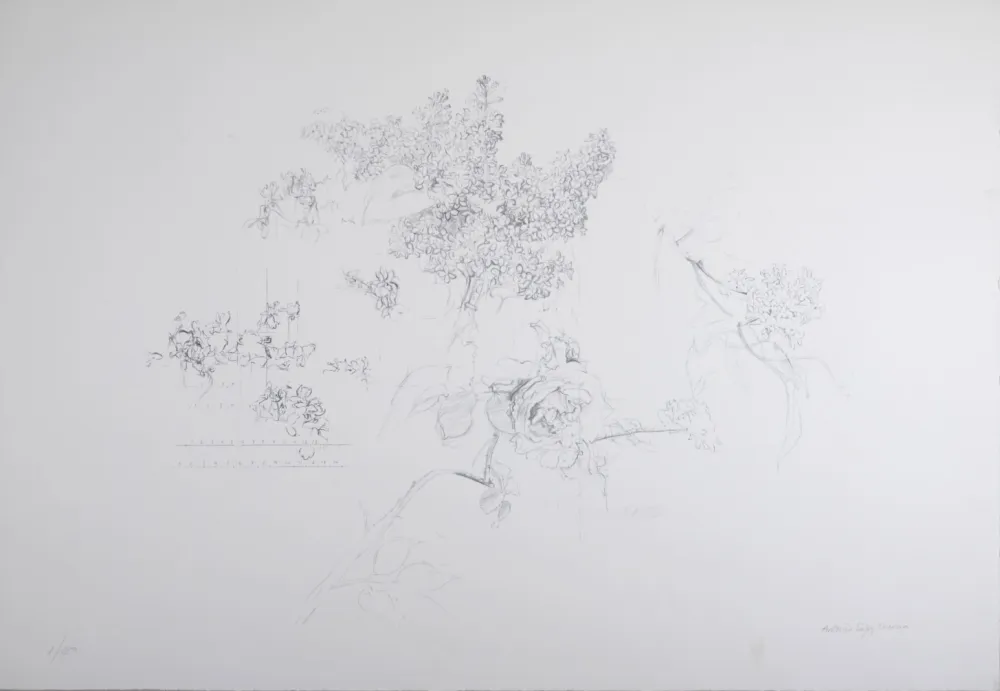 Litografia López Garcia - Composition