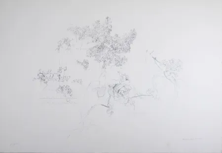 Litografia López Garcia - Composition