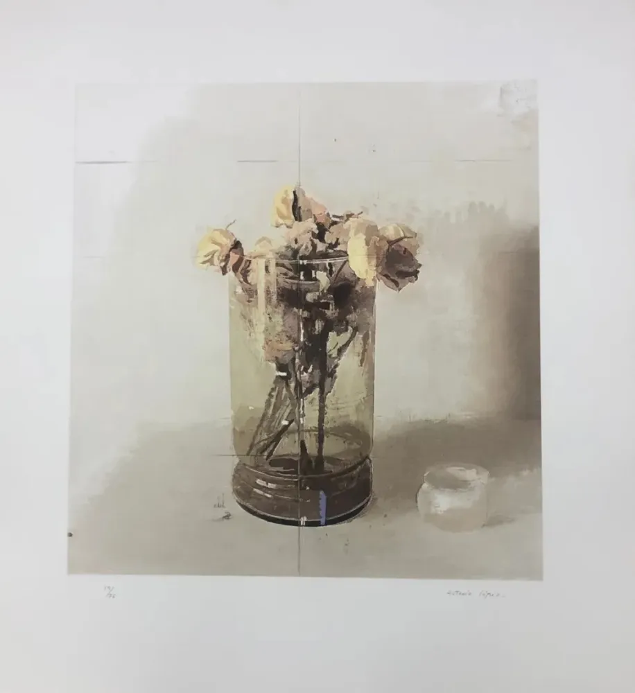 Acquaforte López Garcia - Flores