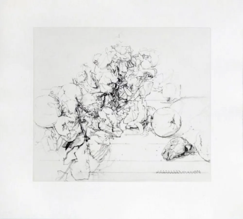 Acquaforte E Acquatinta López Garcia - Membrillos, granadas y cabeza de conejo