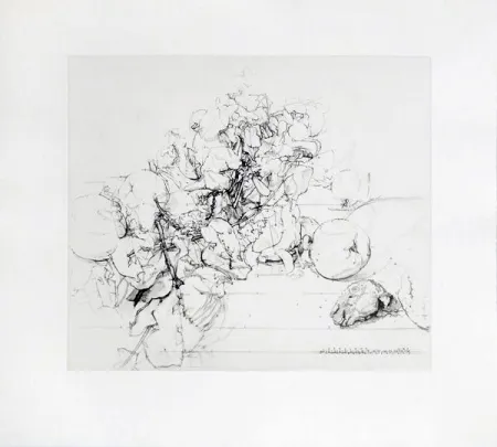 Acquaforte E Acquatinta López Garcia - Membrillos, granadas y cabeza de conejo