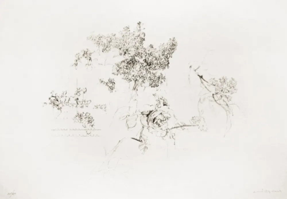 Litografia López Garcia - Olympic Centennial