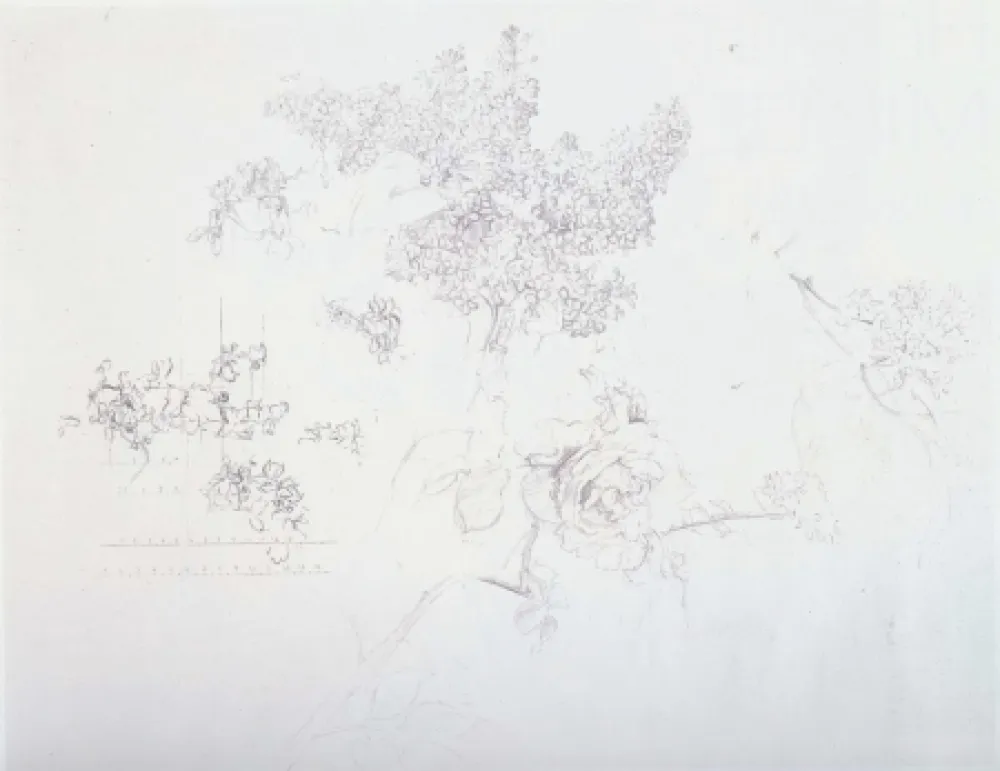 Litografia Lopez - Olympic Centennial