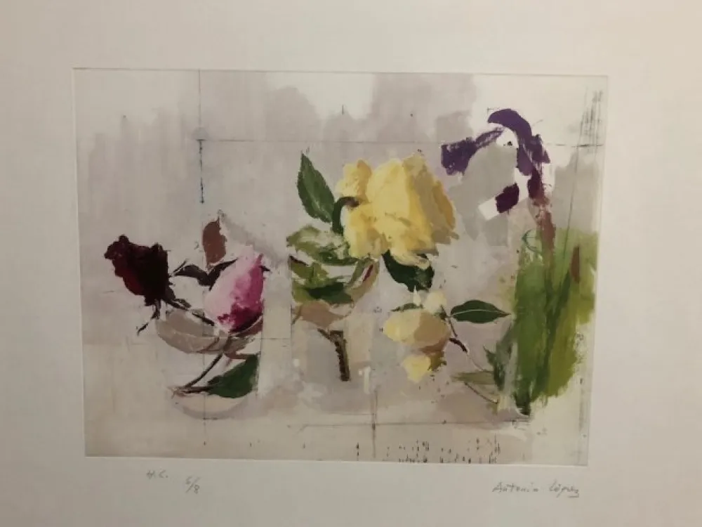 Acquaforte Lopez - Rosas de año Nuevo