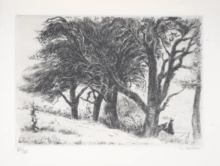 Incisione Lotiron - Normandie, les poiriers