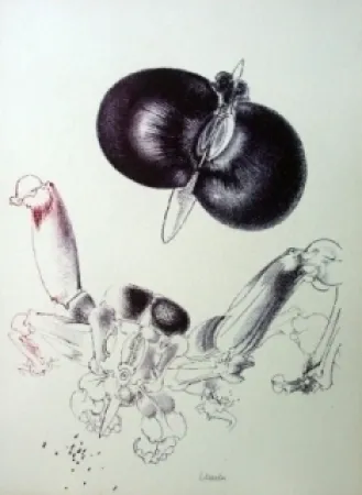 Litografia Lunven - Sans titre