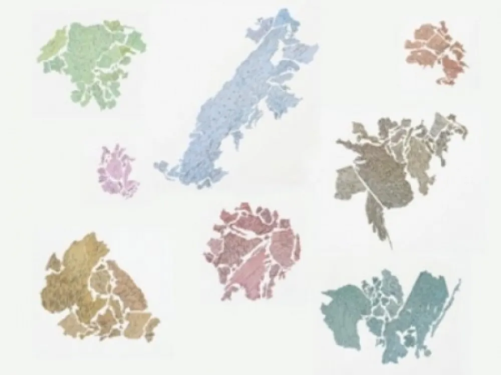 Litografia Macchi - New World