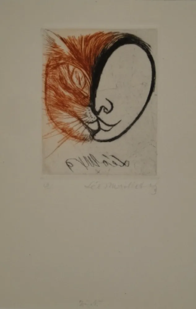 Libro Illustrato Maillet - Léo Maillet Peintre-Graveur