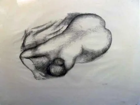 Litografia Maillol - Torso