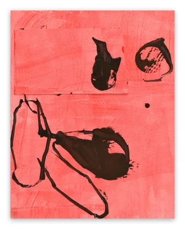 Non Tecnico Maine - Frankly Scarlet 2