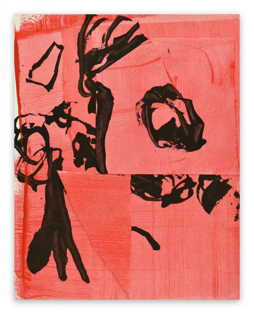 Non Tecnico Maine - Frankly Scarlet 3