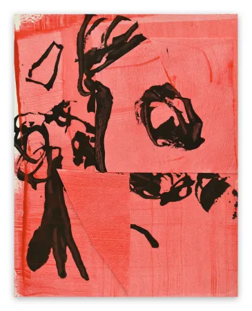 Non Tecnico Maine - Frankly Scarlet 3