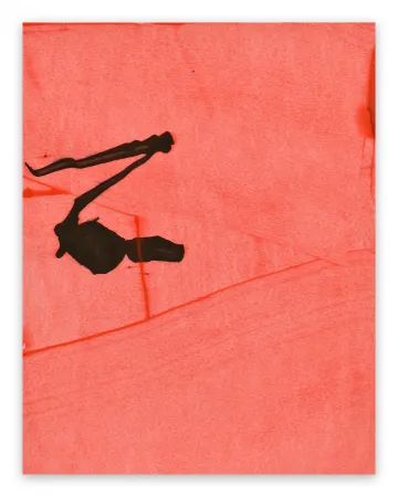 Non Tecnico Maine - Frankly Scarlet 30