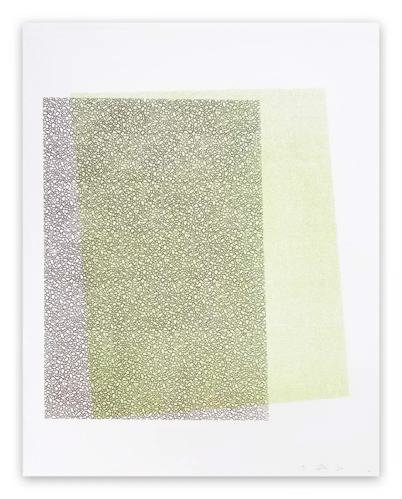 Rilievo Maine - Pitched Planes 131