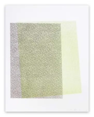 Rilievo Maine - Pitched Planes 131