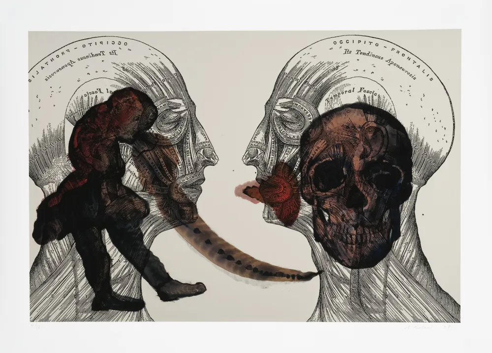 Grafica Numerica Malani - Eros