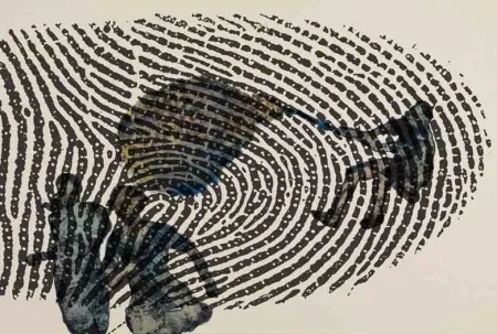 Grafica Numerica Malani - Limits of identity