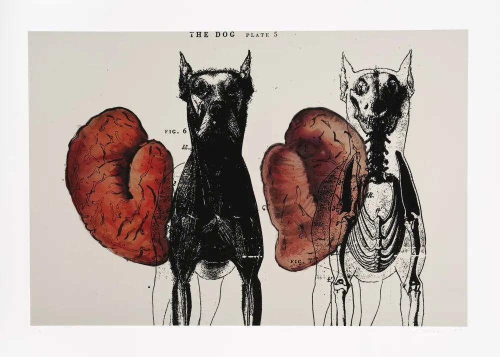 Grafica Numerica Malani - Stress of recall (The)