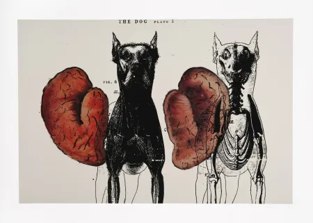 Grafica Numerica Malani - Stress of recall (The)