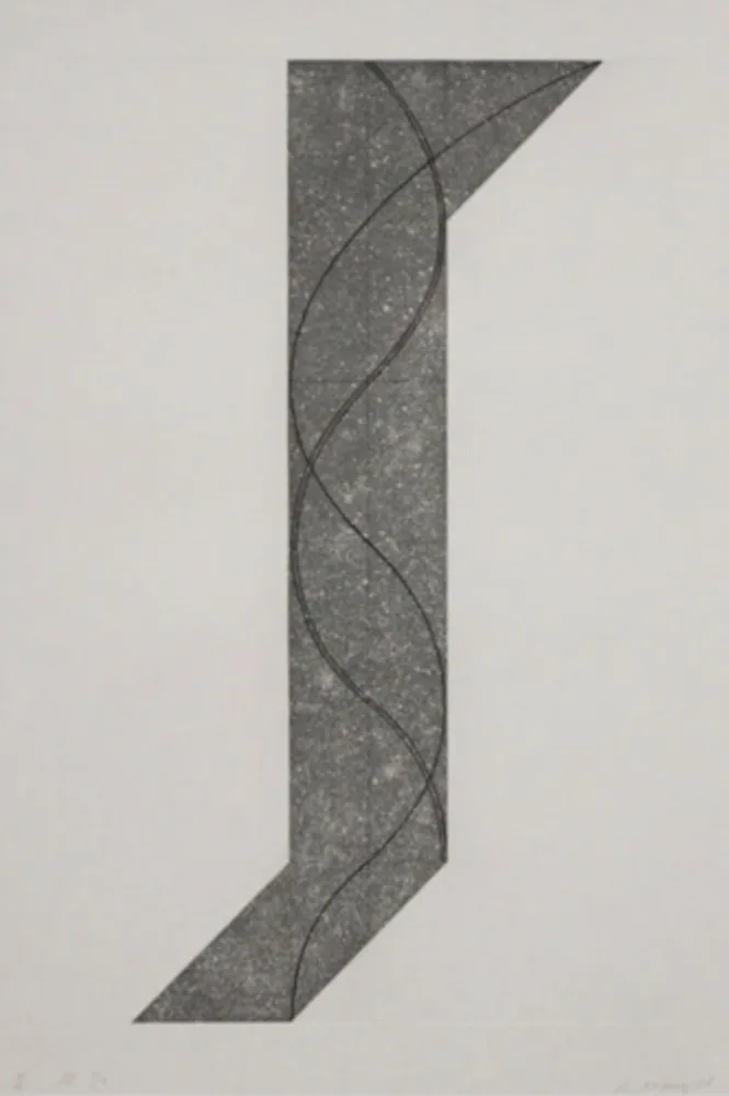 Acquaforte E Acquatinta Mangold - Untitled II