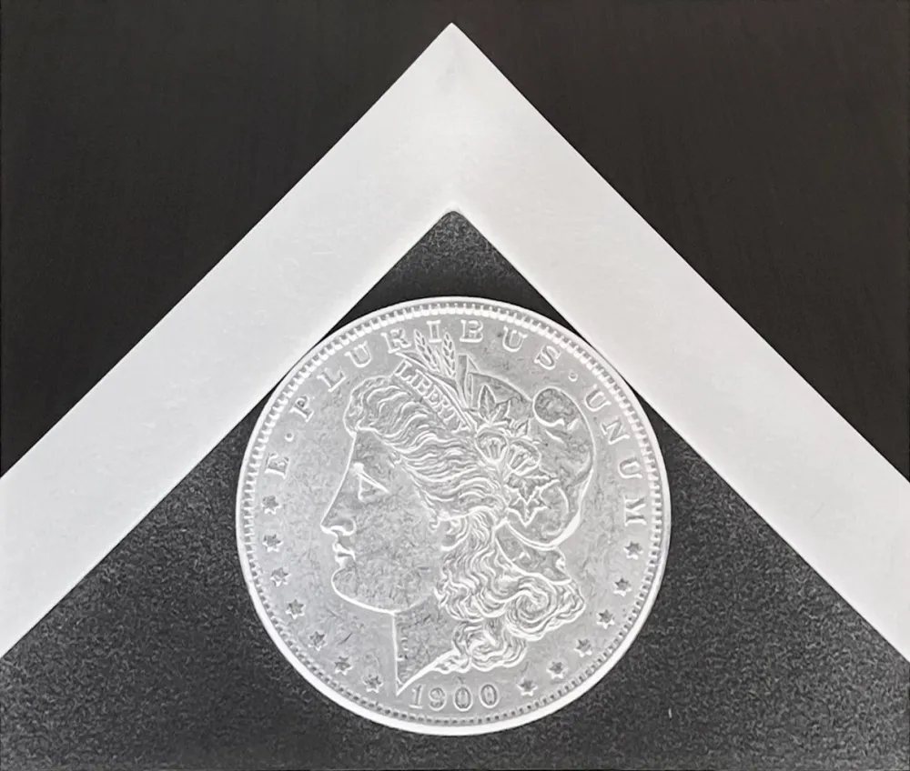 Fotografie Mapplethorpe - Silver Dollar
