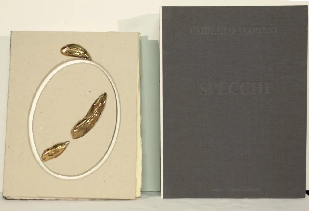 Non Tecnico Mariani - SPECCHI