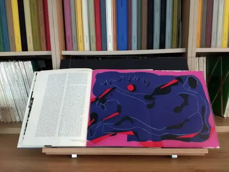 Libro Illustrato Marini - Hommage