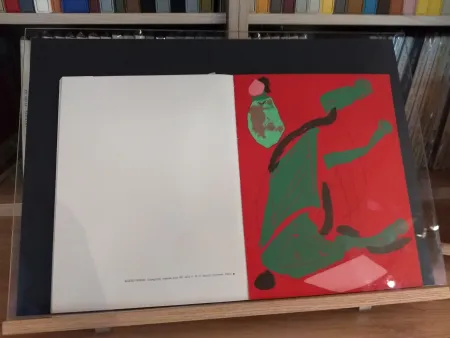 Libro Illustrato Marini - No 35