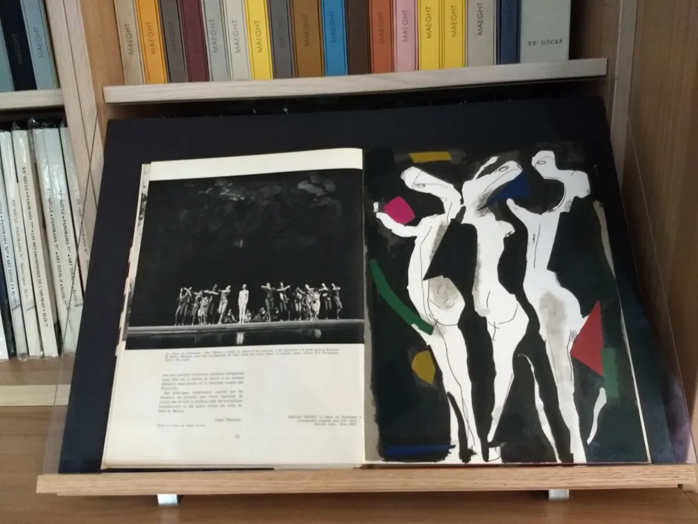 Libro Illustrato Marini - No 40