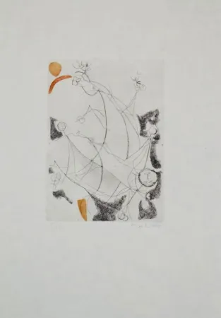 Acquaforte E Acquatinta Marini - Portfolio A-55 Miracolo