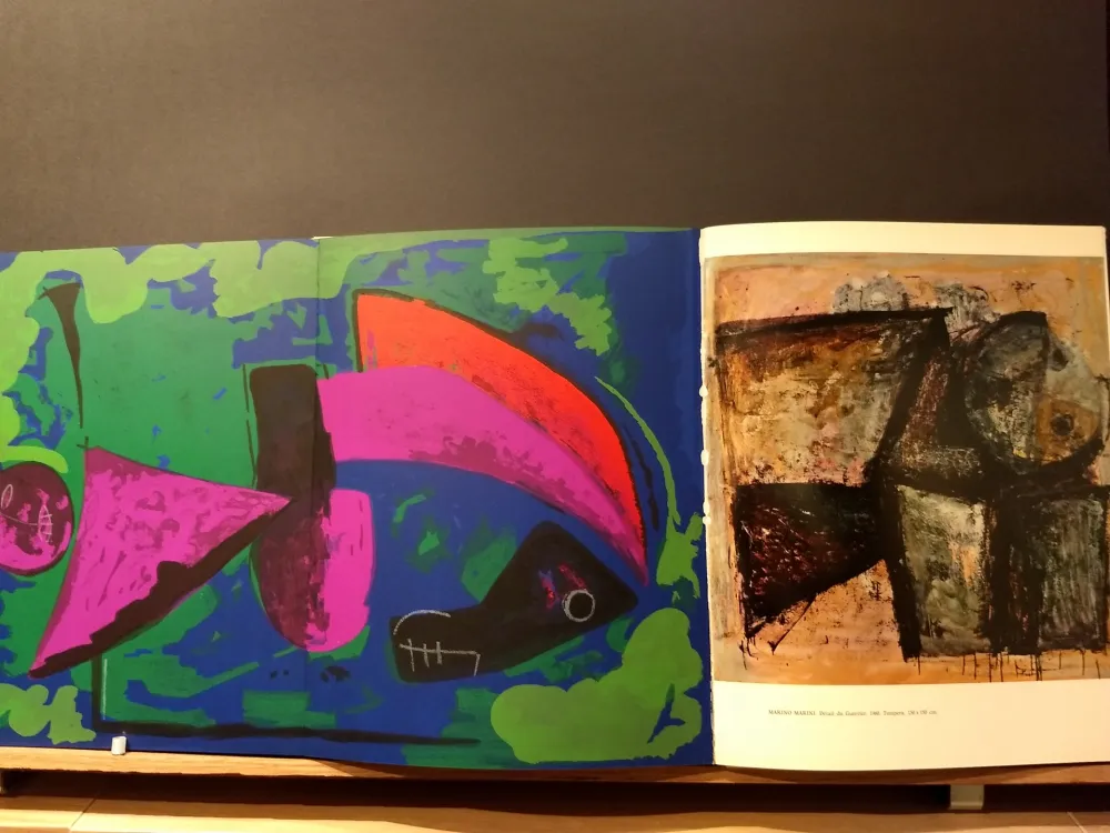 Libro Illustrato Marini - Xxe No 30