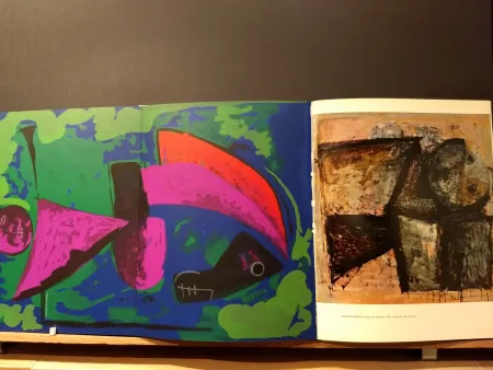 Libro Illustrato Marini - Xxe No 30