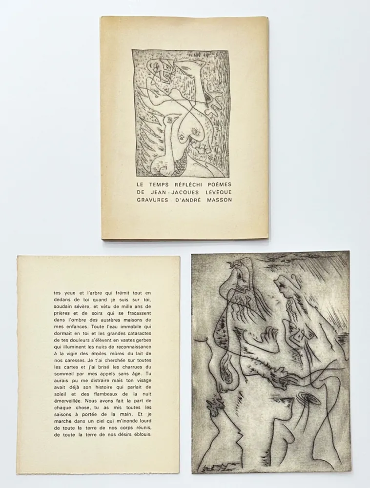 Libro Illustrato Masson - Le temps réfléchi