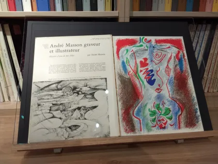 Libro Illustrato Masson - No 38