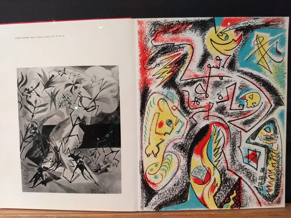 Libro Illustrato Masson - Xxe No 32