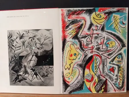 Libro Illustrato Masson - Xxe No 32