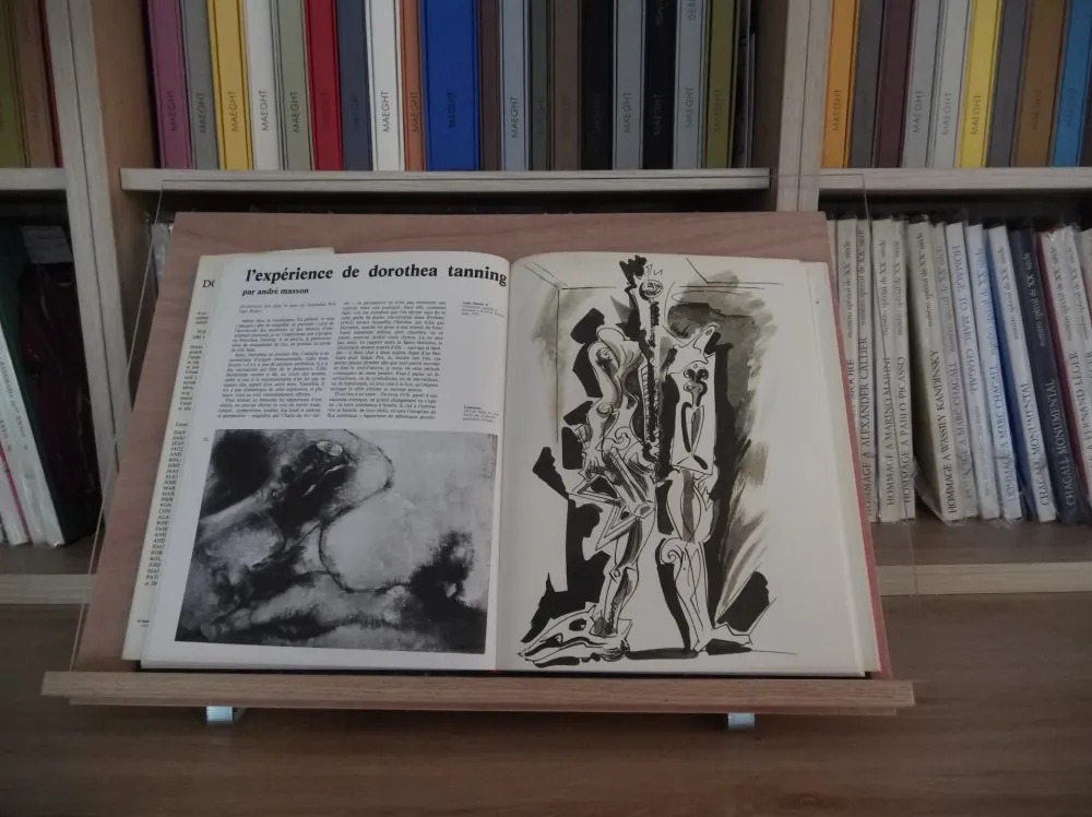 Libro Illustrato Masson - Xxe Tanning