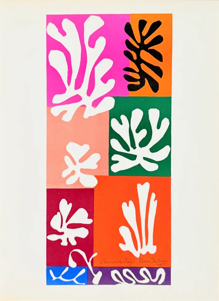 Litografia Matisse - Fleurs de Neige