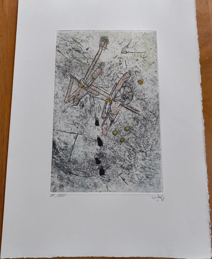 Incisione Matta - Droites Liberees, plate V