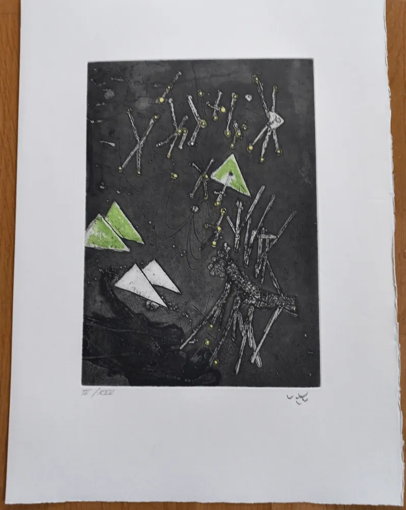 Incisione Matta - Droites Liberees, plate XI