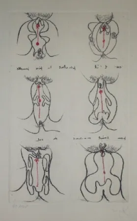 Acquaforte E Acquatinta Matta - Episstil et pistelle