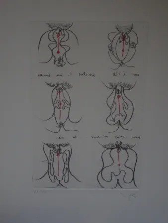 Acquaforte E Acquatinta Matta - Epistill et pistelle.