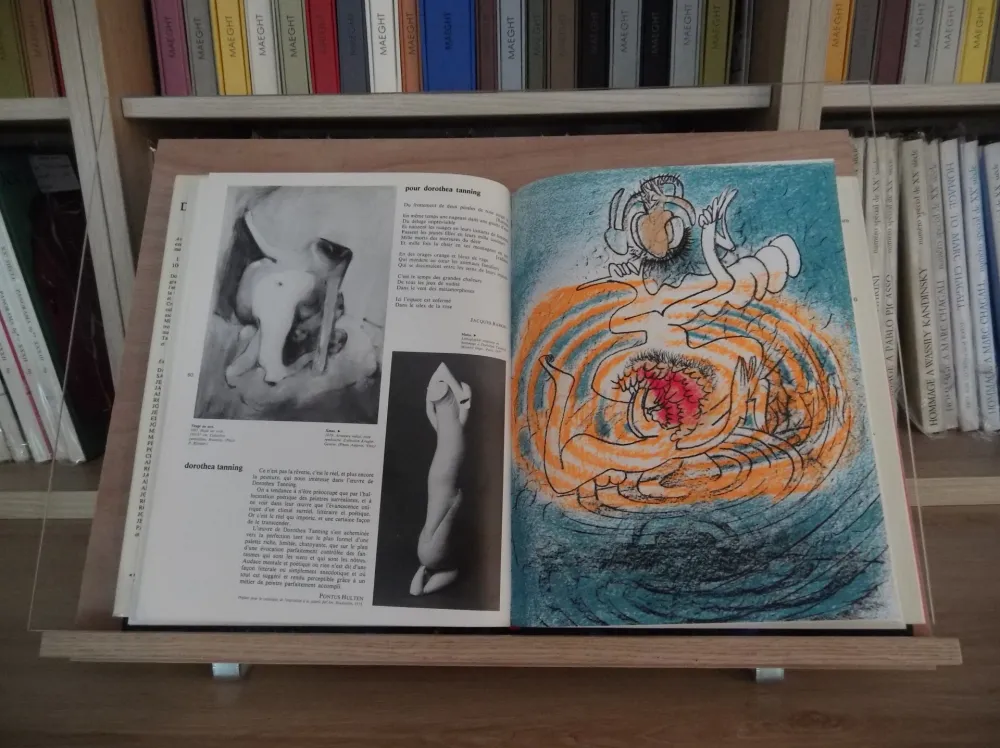 Libro Illustrato Matta - Xxe Tanning