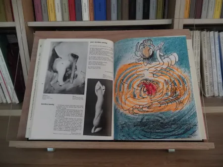 Libro Illustrato Matta - Xxe Tanning