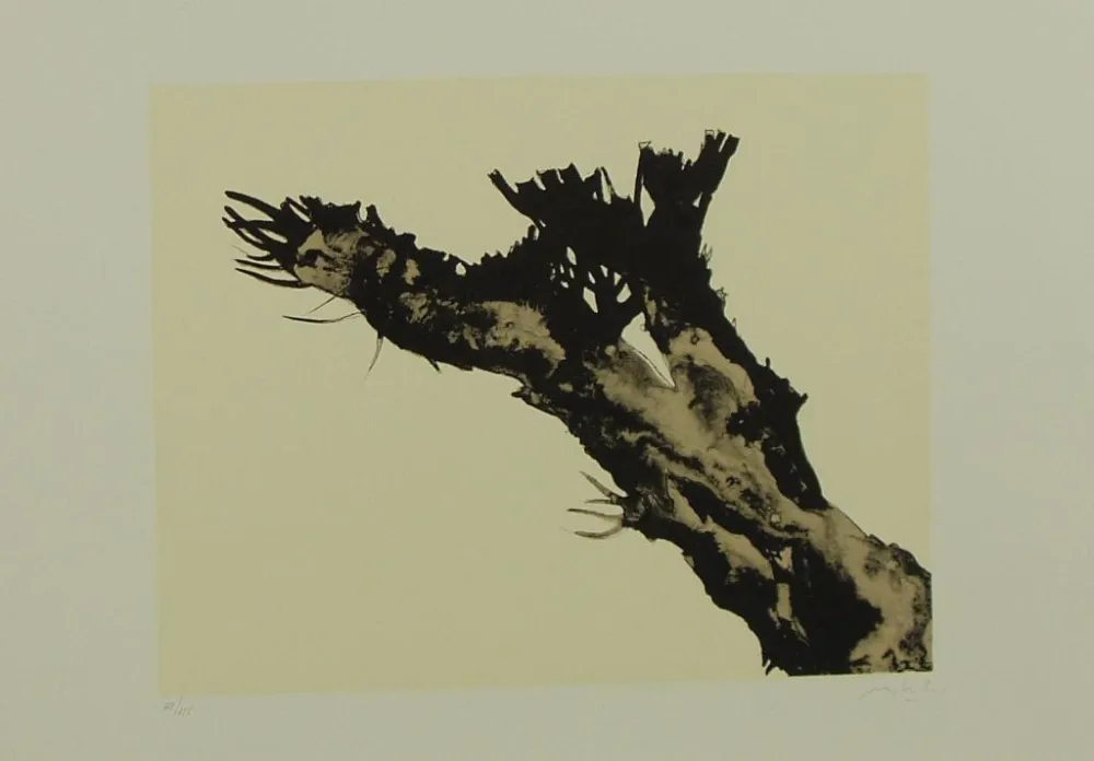 Litografia Mattioli - SENZA TITOLO